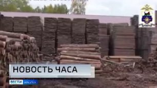 Транспортные полицейские Прибайкалья задержали мэра района за контрабанду леса