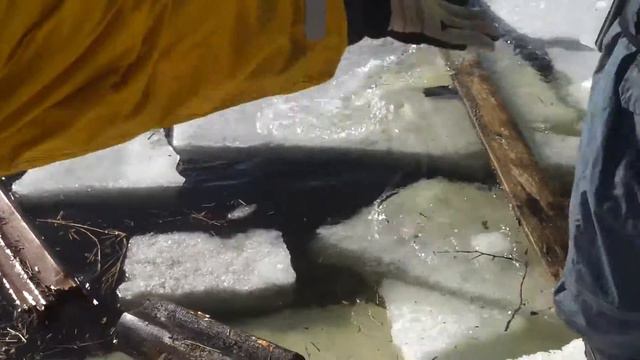 КОРЮШКА. МАНОЛА. ВЫХОД СО ЛЬДА. Март 2014. смотреть онлайн