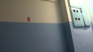 Электрический лифт (г. Лыткарино), V=0,71 м-с, г-п 320 кг (2)