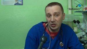 В Пинске открылась первая частная ветеринарная клиника "Добровет"