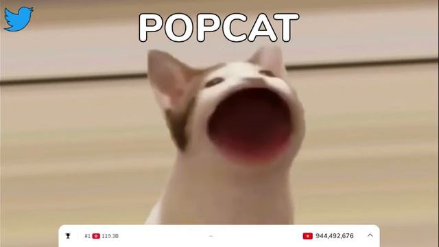Мем кот с открытым ртом