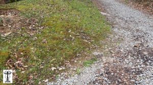 Космо-Домиановский монастырь. Алушта