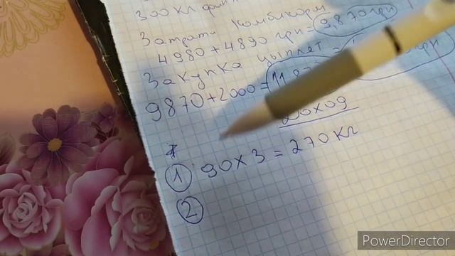 Сколько Можно Заработать на 100 штук Курей Бройлерах в 2021 Году смотреть онлайн