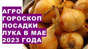 Агрогороскоп посадки лука в мае 2023 года. Агрогороскоп посадки цибулі в травні 2023 року