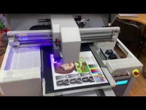 УФ принтер FS-4060 XP600 с двумя печатающими головкой Epson XP600 (DX11)