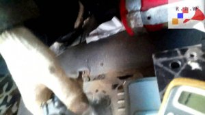 Камаз диагностика неисправностей, нет запуска двигателя