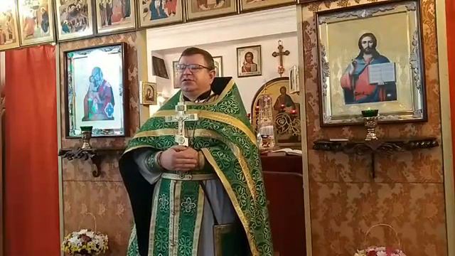 О детовождении и Детоводителе. 💐