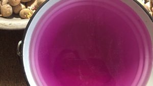 Как сажать картошку в апреле, чтобы получить хороший урожай