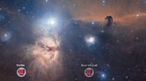 Hubble anniversary - Spectacular Horsehead Nebula 2013