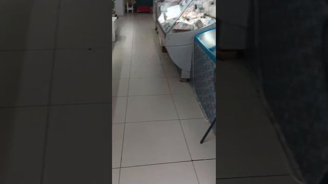 Сняла для вас, что продается внутри Крестьянского рынка. Одного из самого Северного рынка Мира. смотреть онлайн