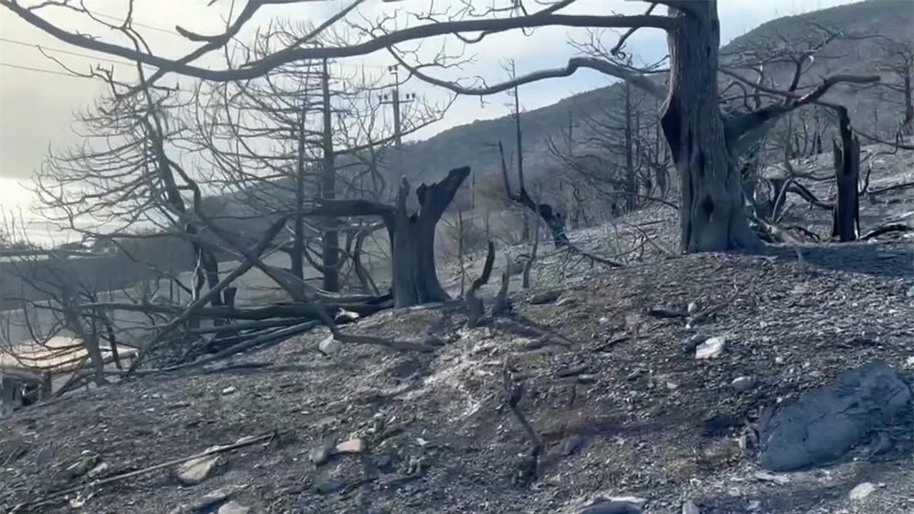 В Карадагском заповеднике удалось локализовать природный пожар