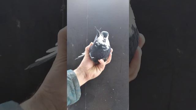 31 января 2024 г.