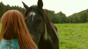 Самые интересные фильмы про лошадей. Самі цікаві фільми про коней.