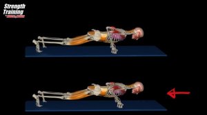 Classic Triceps Exercises | Anatomical Analysis