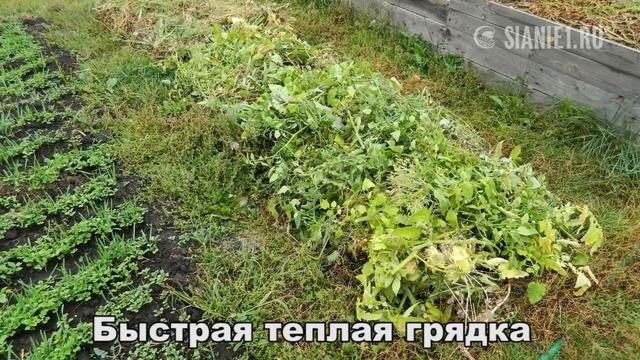 Теплая грядка на садовом участке смотреть онлайн
