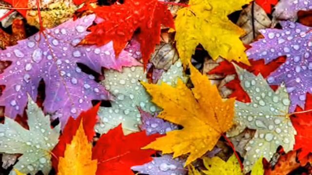 Стихи о жизни | Стихотворение "Вальс вдохновения" смотреть онлайн