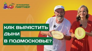 СЕКРЕТЫ ВЫРАЩИВАНИЯ ВКУСНЫХ ДЫНЬ В ПОДМОСКОВЬЕ