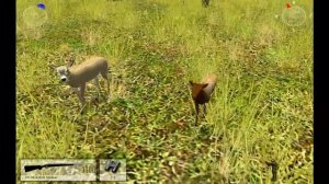 Hunting Unlimited 3: Animal (Add) Mod Testing [PC - HD]