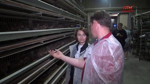 Юлия Оглоблина побывала на перепелиной ферме в Кочелаево.
