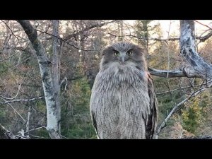 Орловский заказник и Норский Заповедник