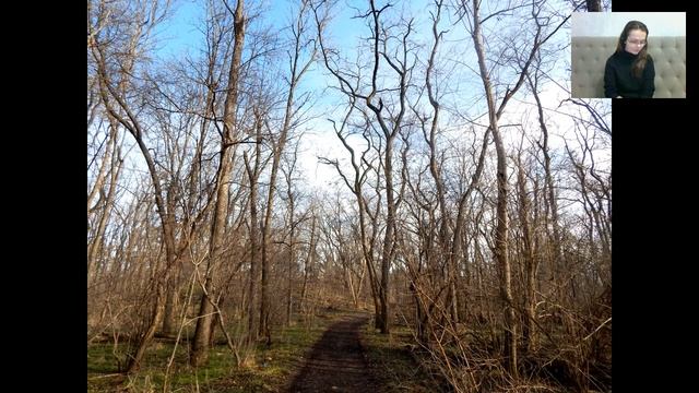 Внутренний ресурс Медитация силы смотреть онлайн