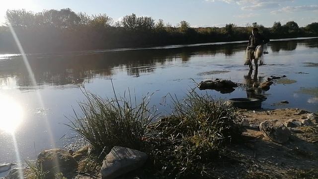 рыбалка кастинговой сетью, улов щука на 1,7кг смотреть онлайн