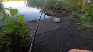 Рыбалка на Донки в Шатуре на Святом озере. Аномальна Жара в Июне +35 и рыба не хочет клювать.