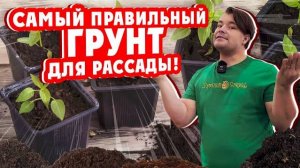 ГРУНТ ДЛЯ РАССАДЫ