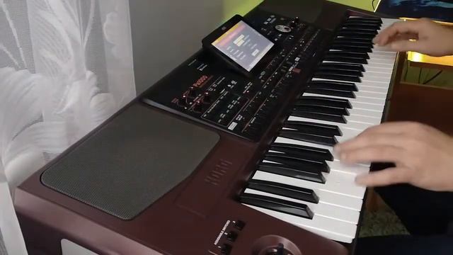 Boys Drań Korg pa 1000 COVER смотреть онлайн