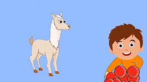 Название животных на арабском