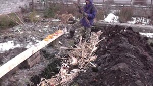 Теплая грядка  -  урожай вёдрами!