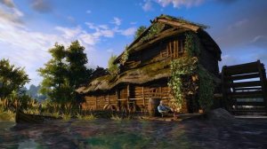 The Witcher - Calm Music & Ambience