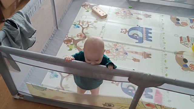 День жизни священника. Тихая дочка. Вкусный зайчик... смотреть онлайн