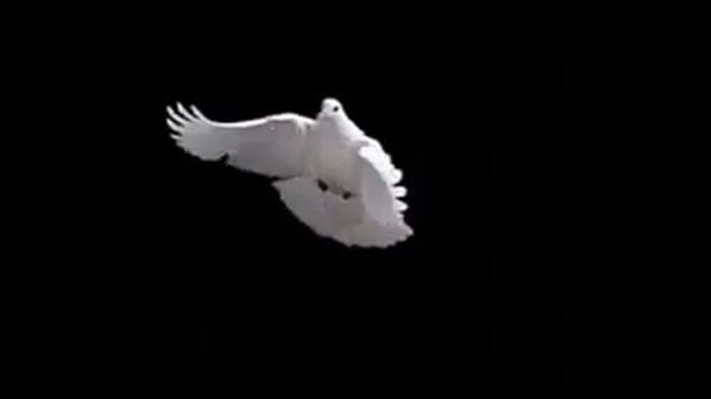 15 декабря 2018 г. смотреть онлайн