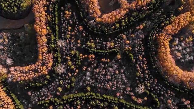 Краснообск