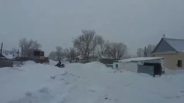 Тайга 500 смотреть онлайн