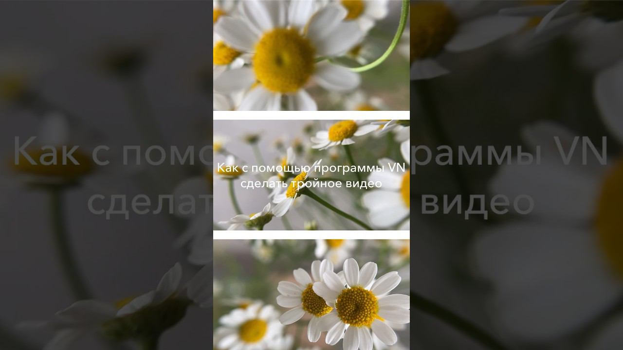 Фишки монтажа. Тройное видео. Смотри комментарии #монтажвидео #душевноевидео #видеограф #вебинар