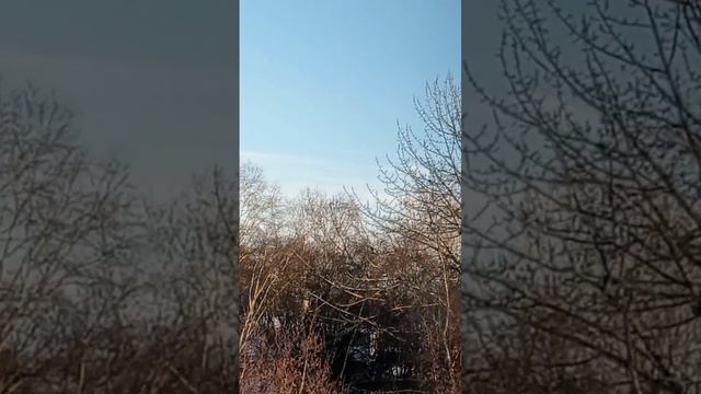 ВОЗМОЖНО НЛО СИГАРООБРАЗНЫЙ ОБЬЕКТ