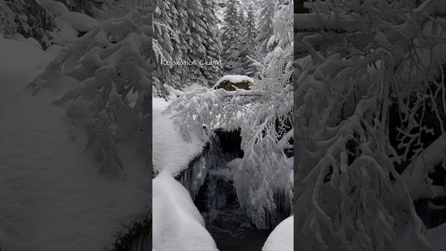 Snow! Winter Landscapes#29 Meditation! Relaxing Music! смотреть онлайн