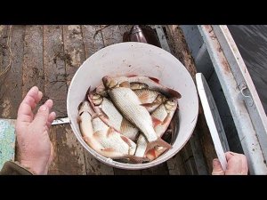 10.06.19. \ ПРОВЕРКА ПРОДОЛЬНИКОВ \ ВЕДРО РЫБЫ ЗА ЧАС