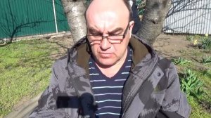 Порубочный билет зачем он нужен и как его получить