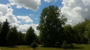 Здравствуй долгожданное лето!