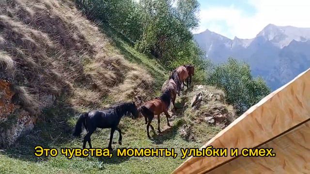 Чегемское ущелье в Кавказских горах предлагает множество  развлечений, помимо полетов на параплане.