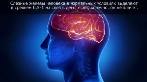 ПОЧЕМУ ТЕКУТ СЛЕЗЫ?