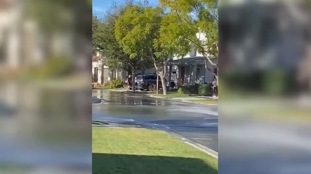 Большой не значит смелый смотреть онлайн