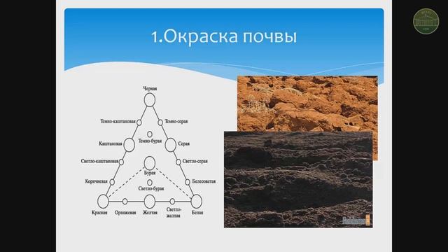 Морфология почв Почвообразование Плодородие смотреть онлайн