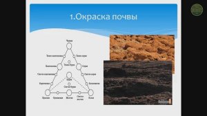 Морфология почв Почвообразование Плодородие