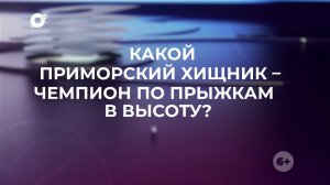 Знай свой край / Леопард