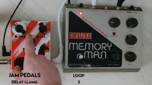 JAM Pedals Delay Llama vs. EHX Deluxe Memory Man