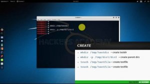 007 Создание папок в Kali Linux | Кали Линукс